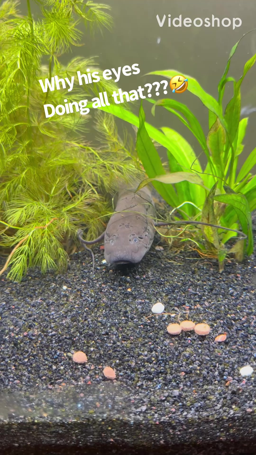 @fishdaddy2002