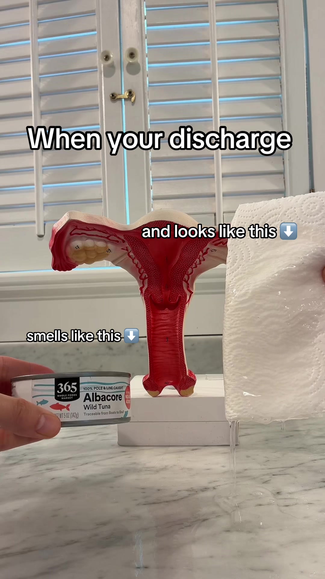 @Evvy