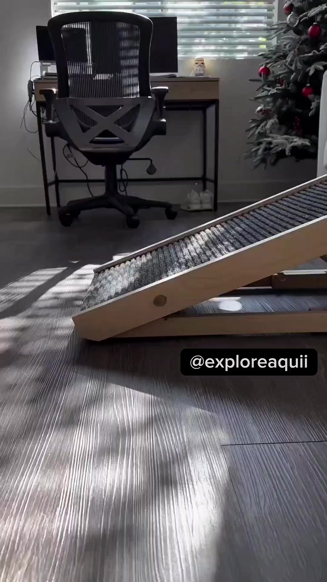 @Explore Aquii 🐾🐾✨️
