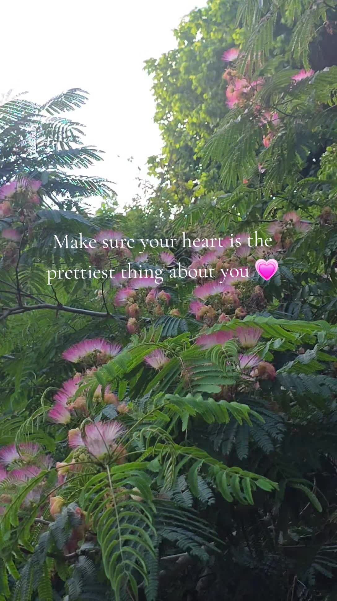 @🖤💯SUMMER✨️🦋