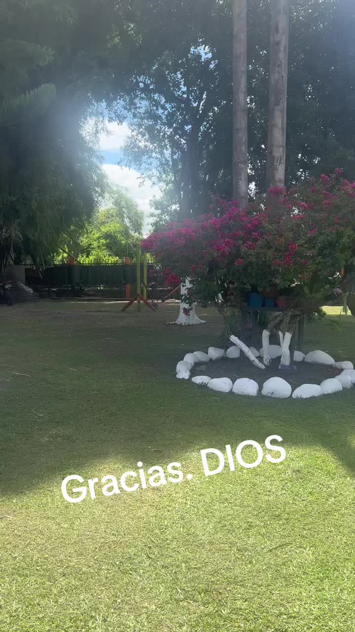 @Mencha -ropa mayorista
