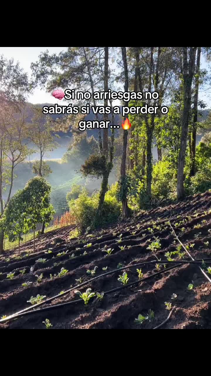 @Victor🌱🚜