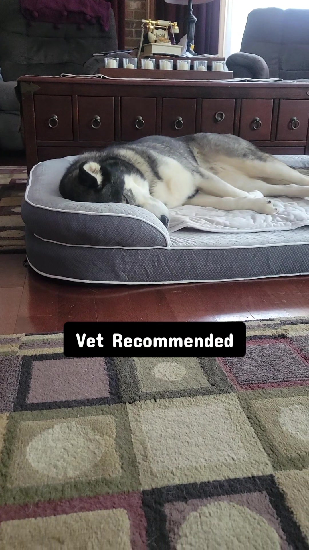 @the Hussey Husky