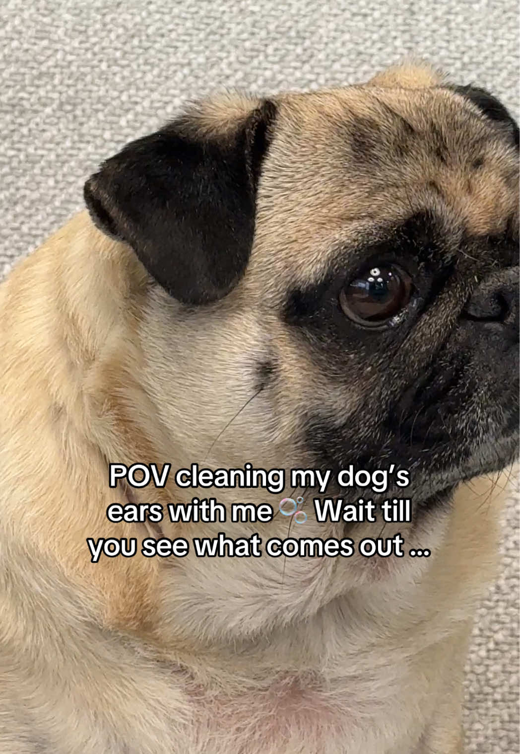 @earthrated