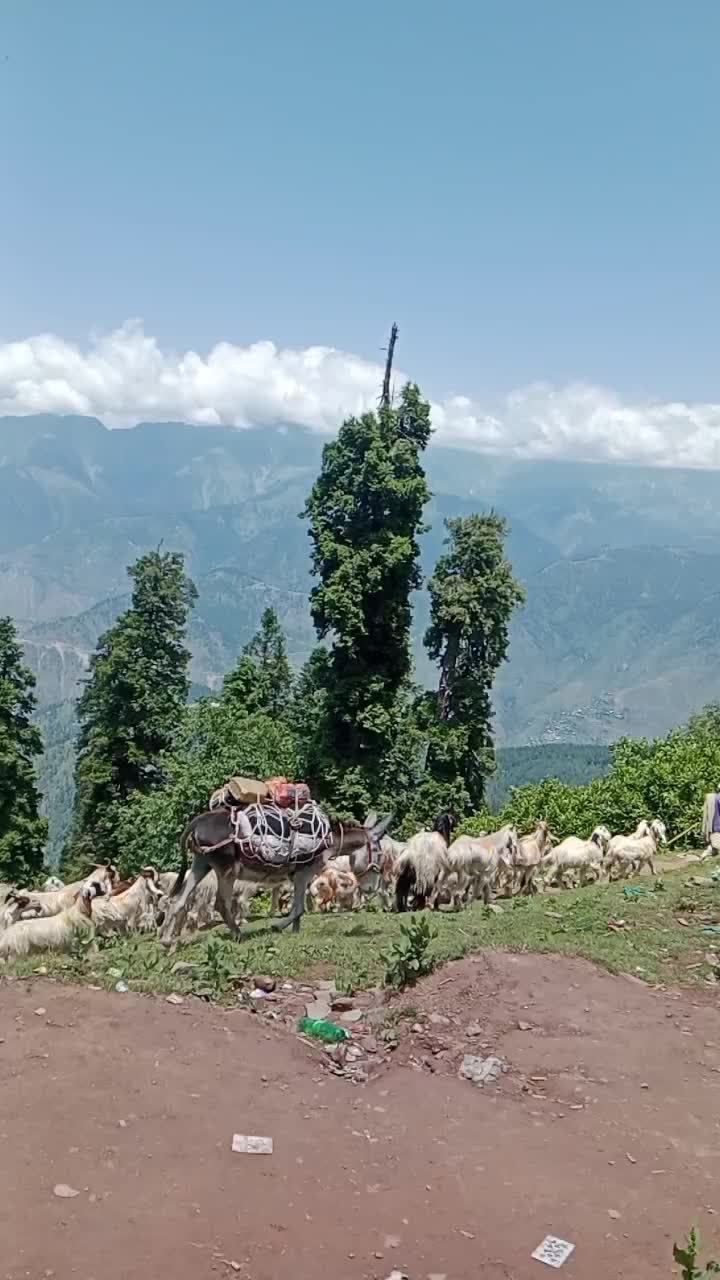 @Moon bhai