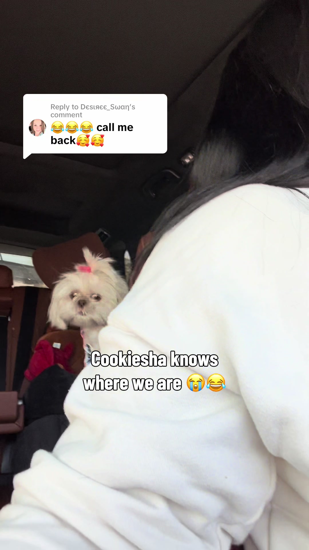 @nitaandcookiesha