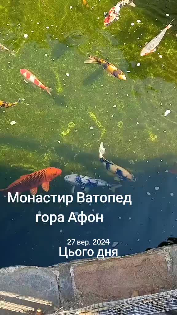 @Андрій Закарпаття🥰🥰🥰