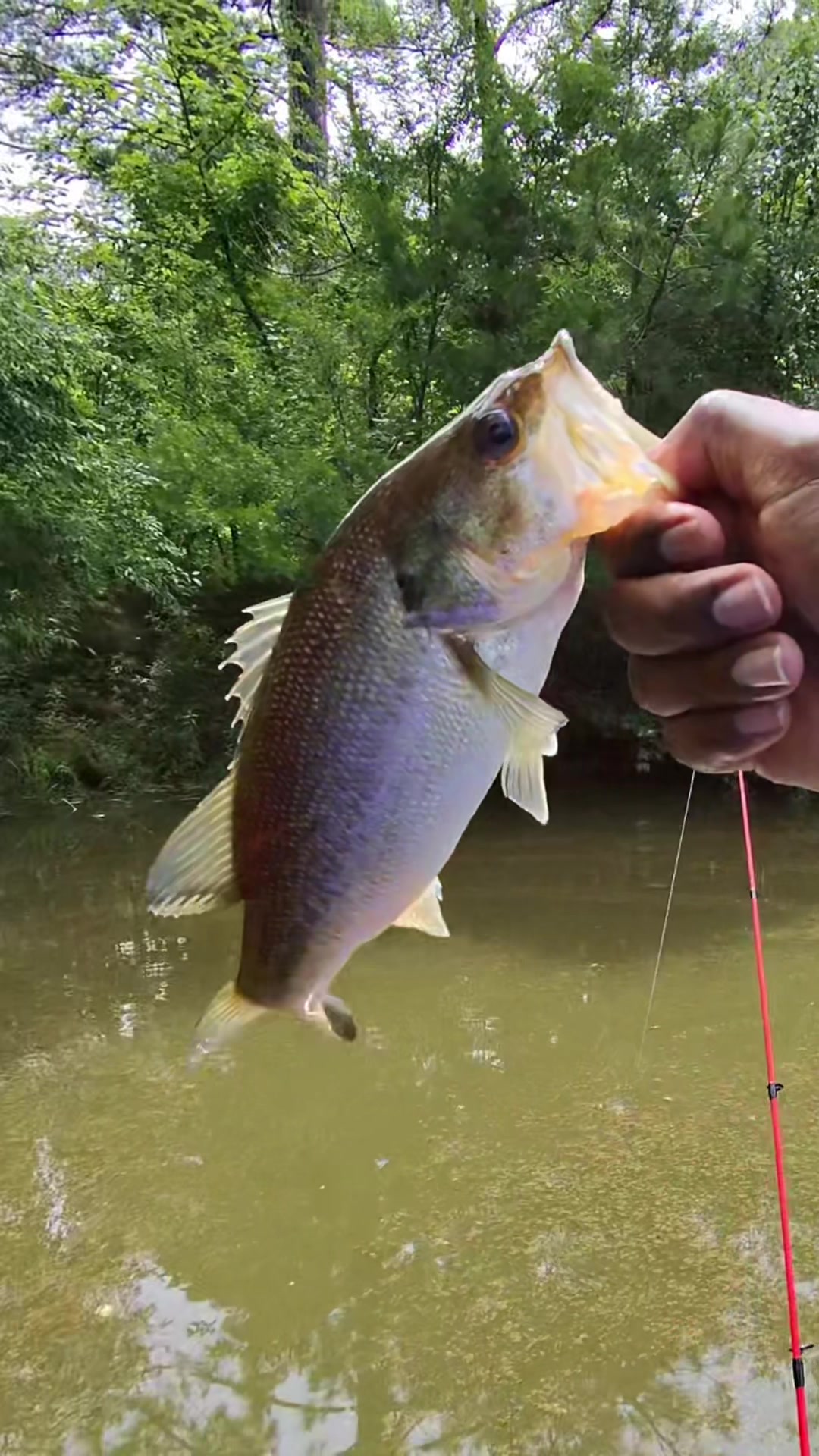 @Orange.Fishing