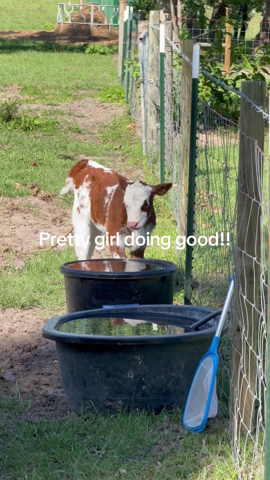 @Kelley Farms