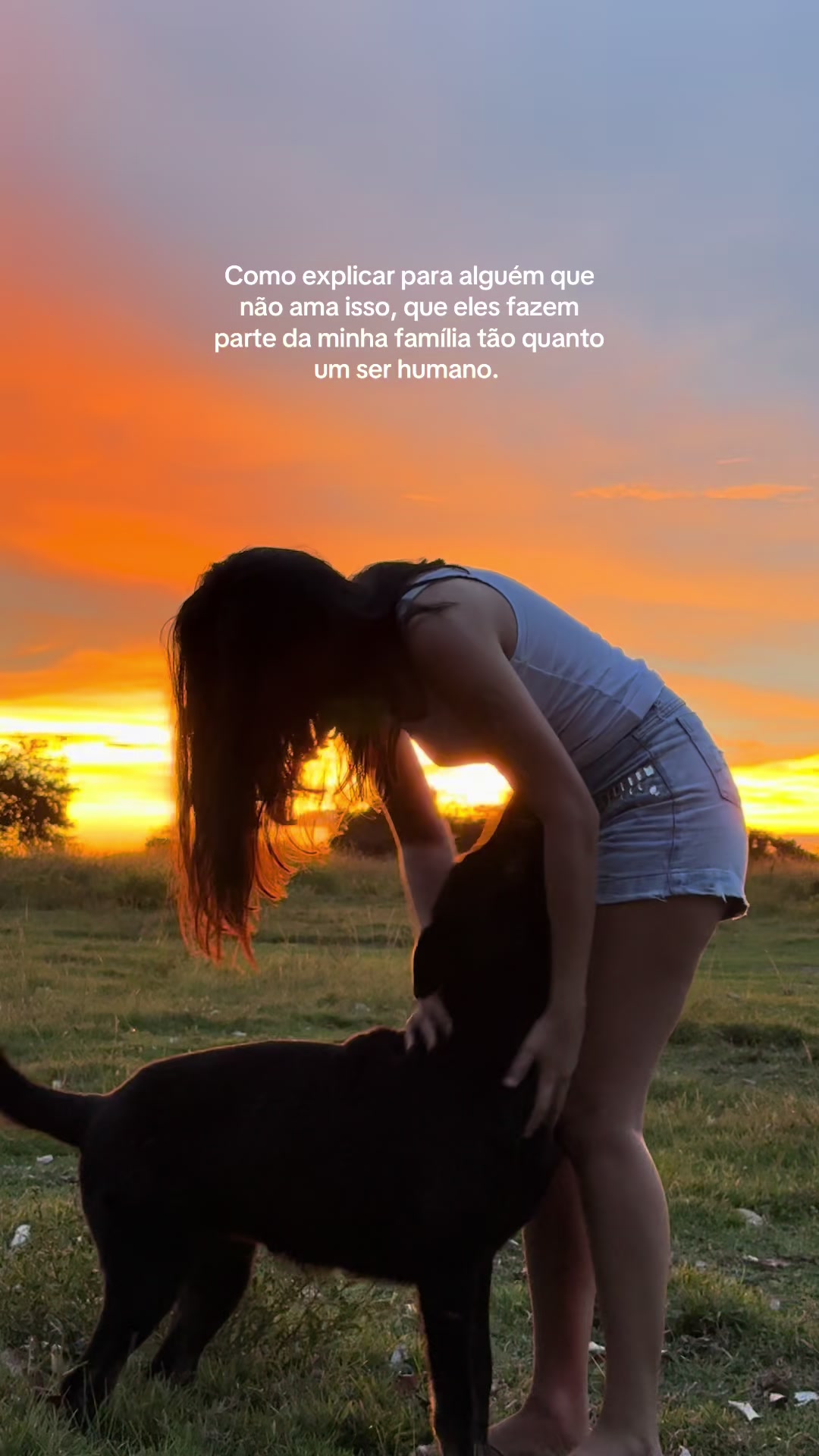 @Josi