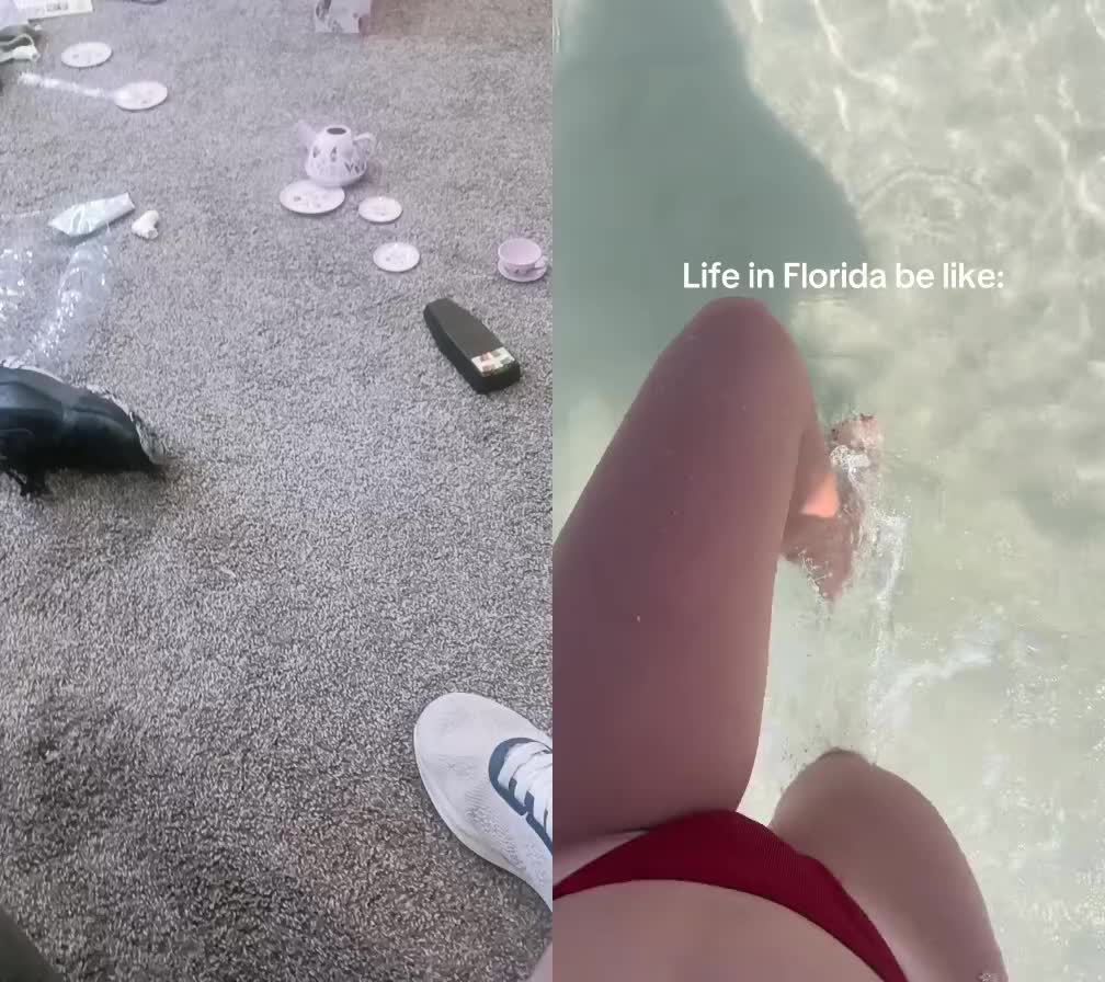 @ut