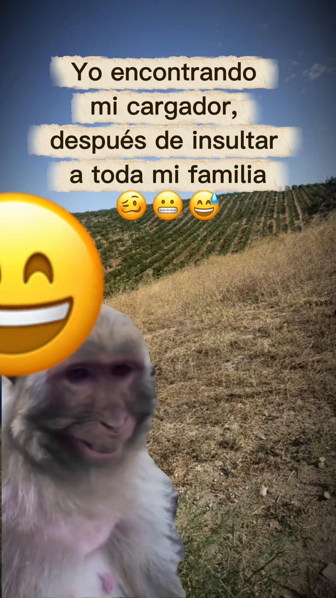 @Sandra Santiago