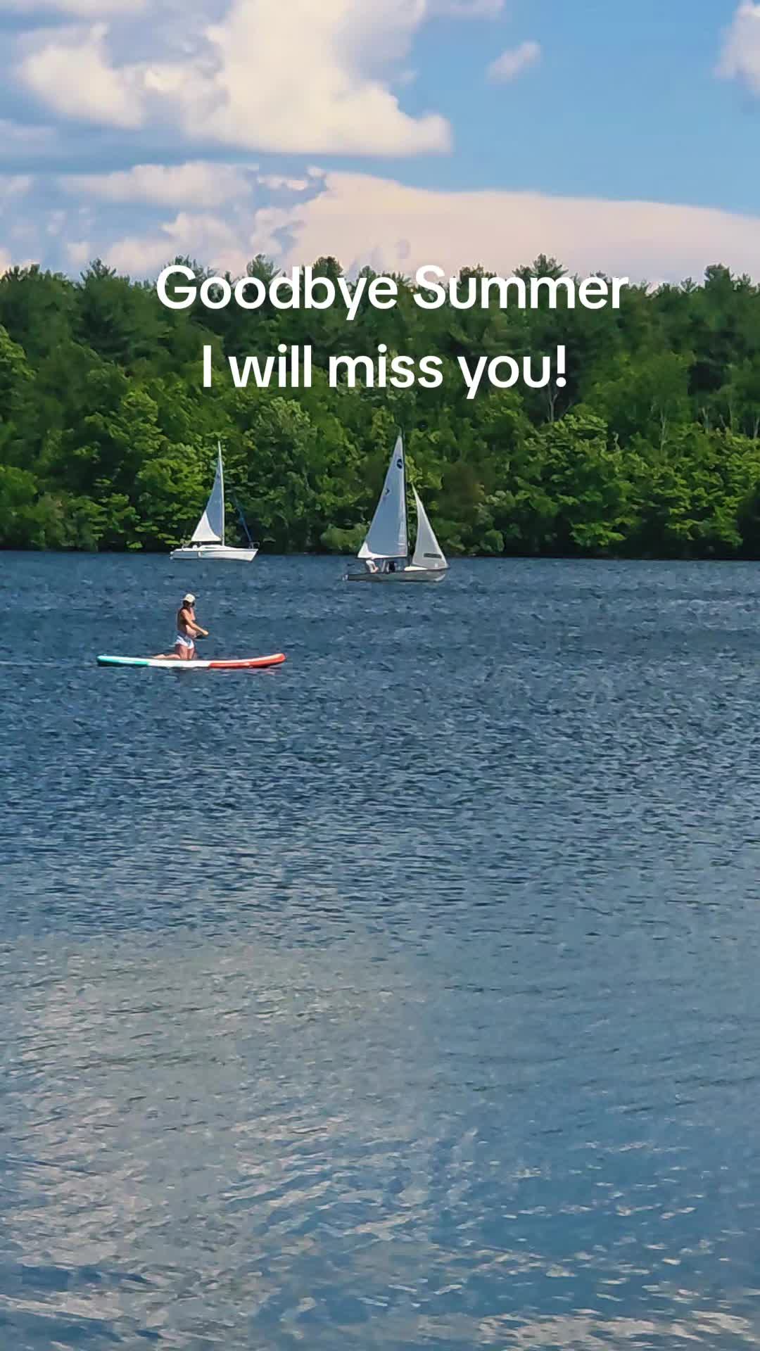 @toridawn313