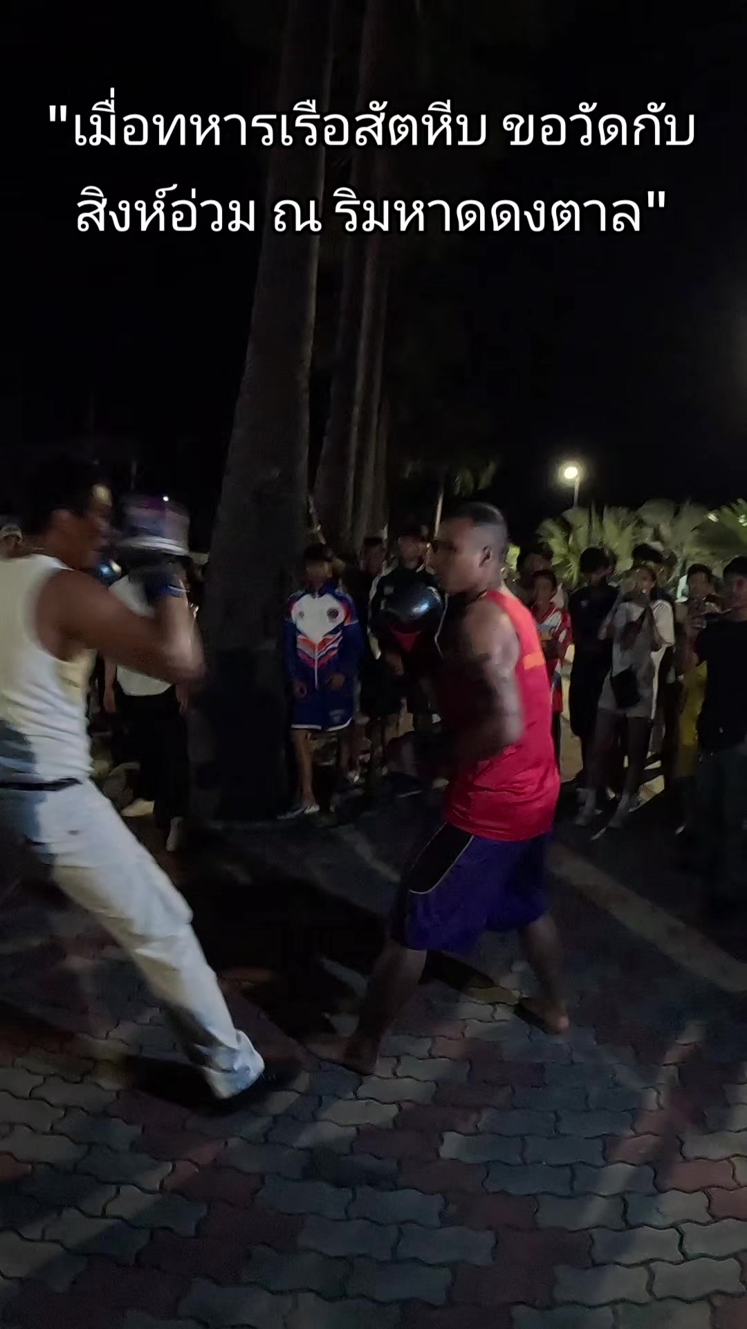 @Mr.Fight