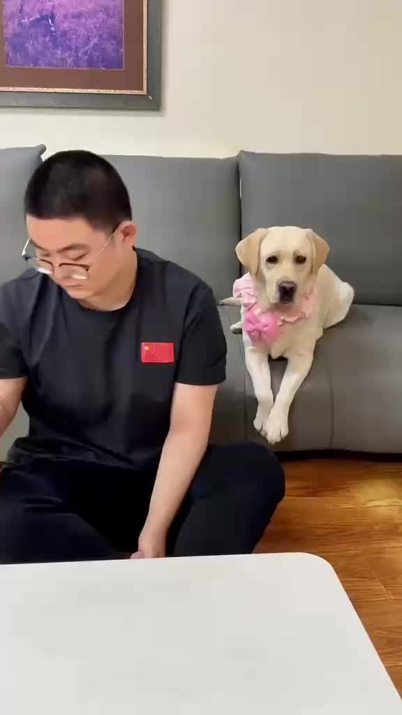 @Funny