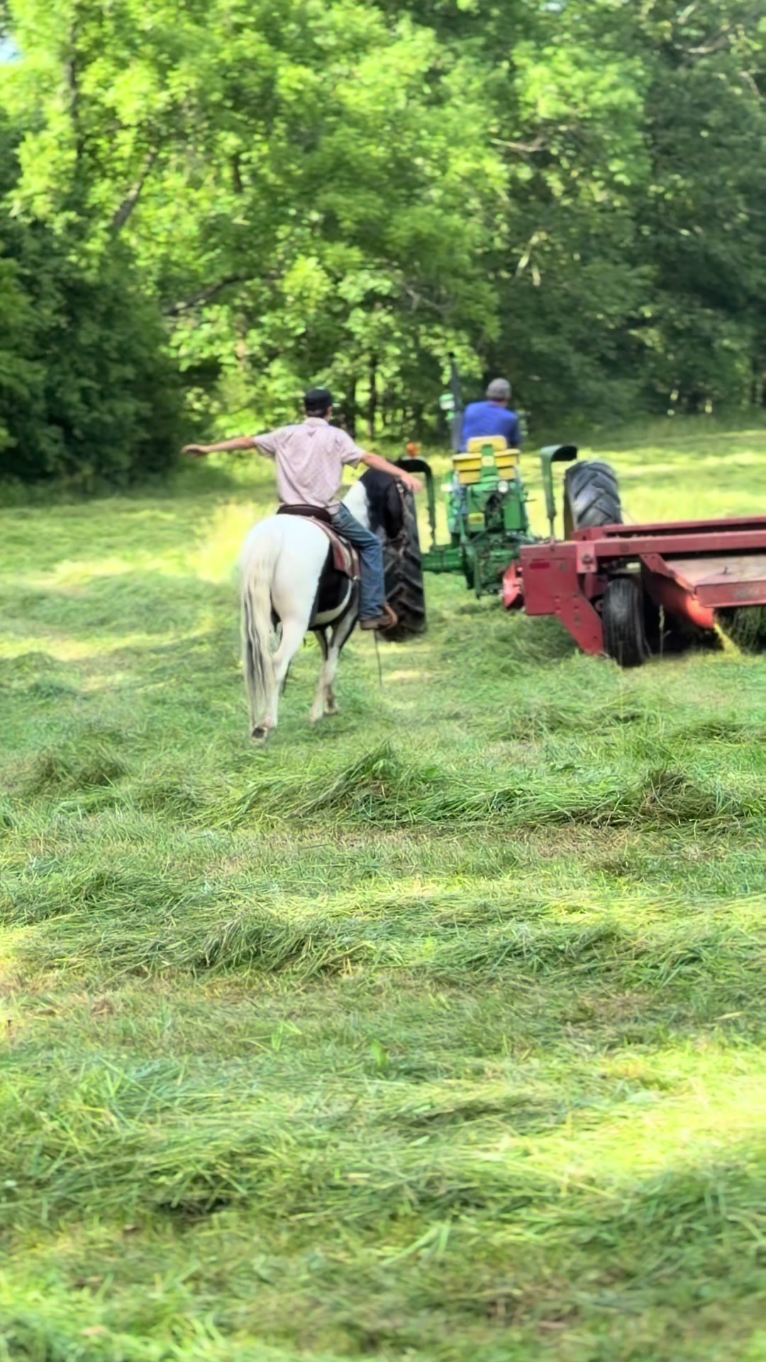 @Lucky D Ranch 🍀