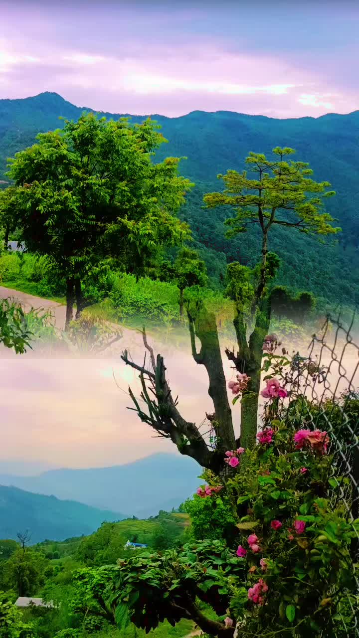 @sunita adhikari🇳🇵🇳🇵