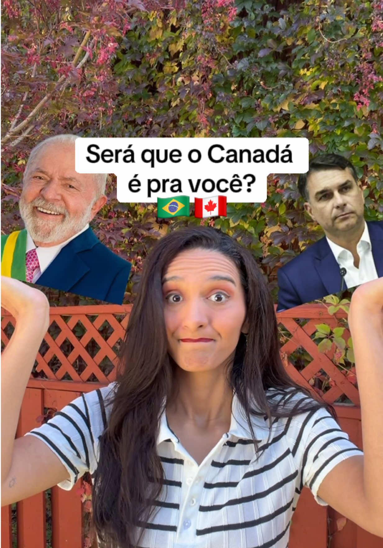 @Farofa de Maple