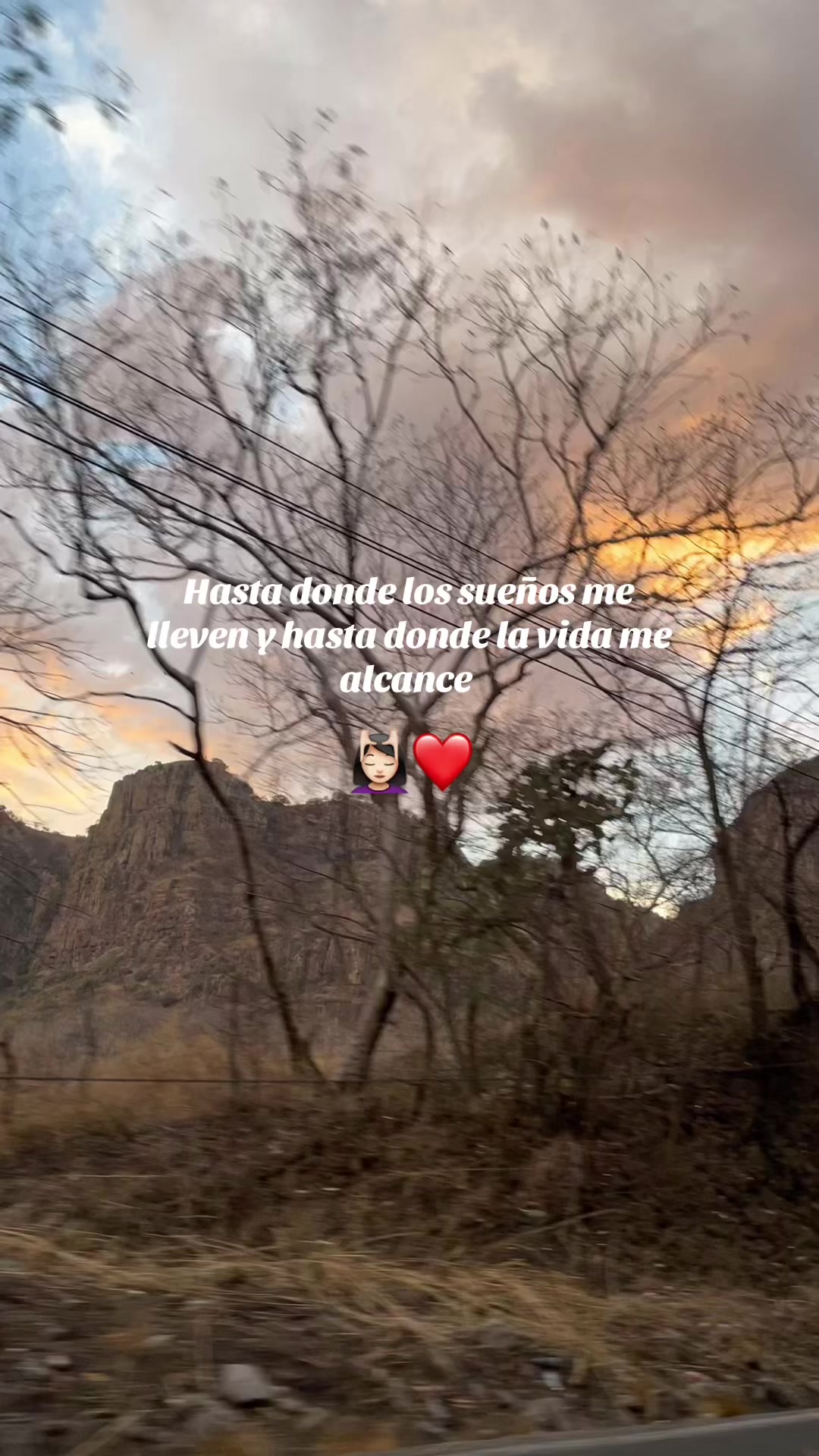 @Jocelyn Angulo