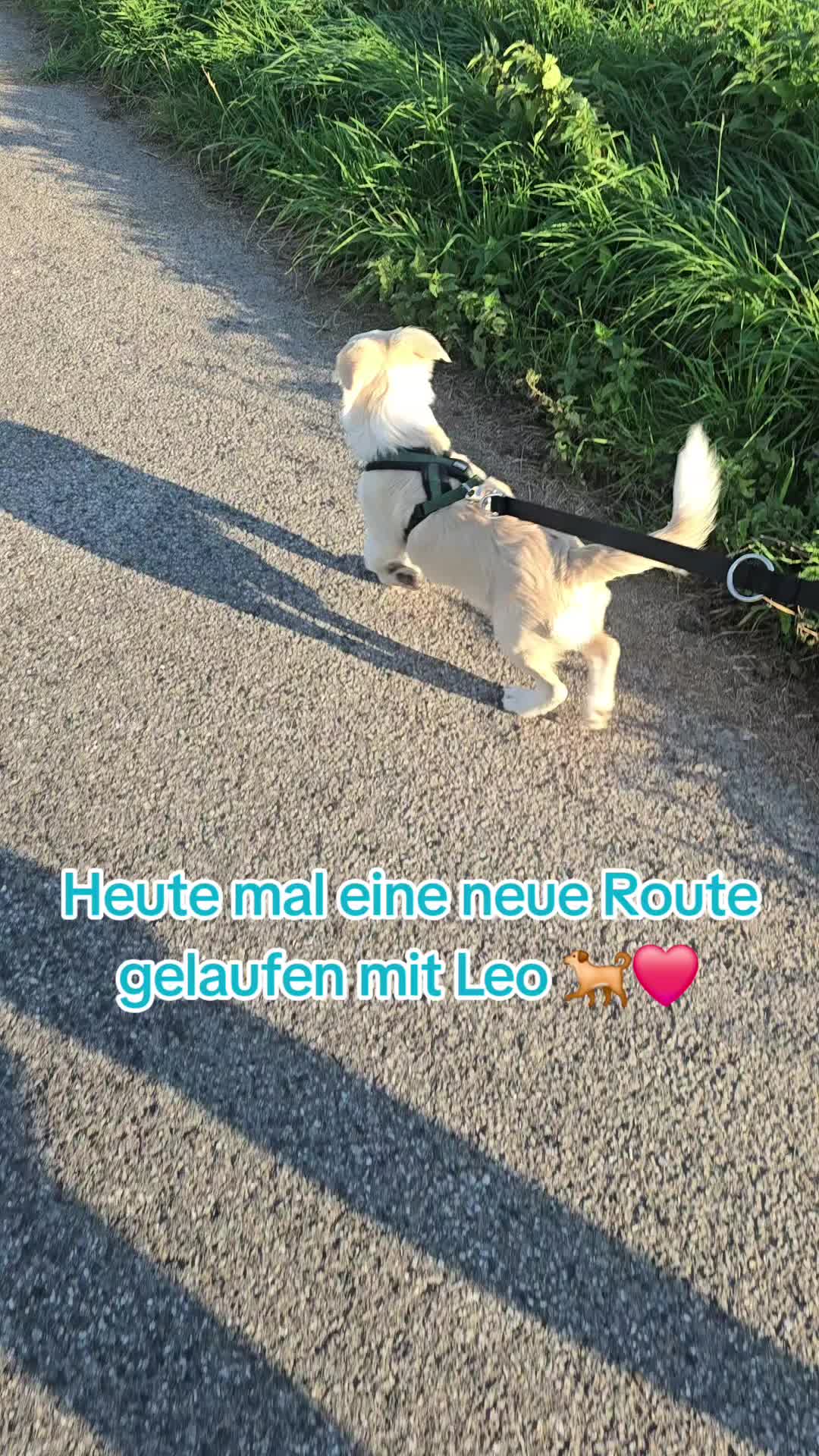 @🎀Angi🎀