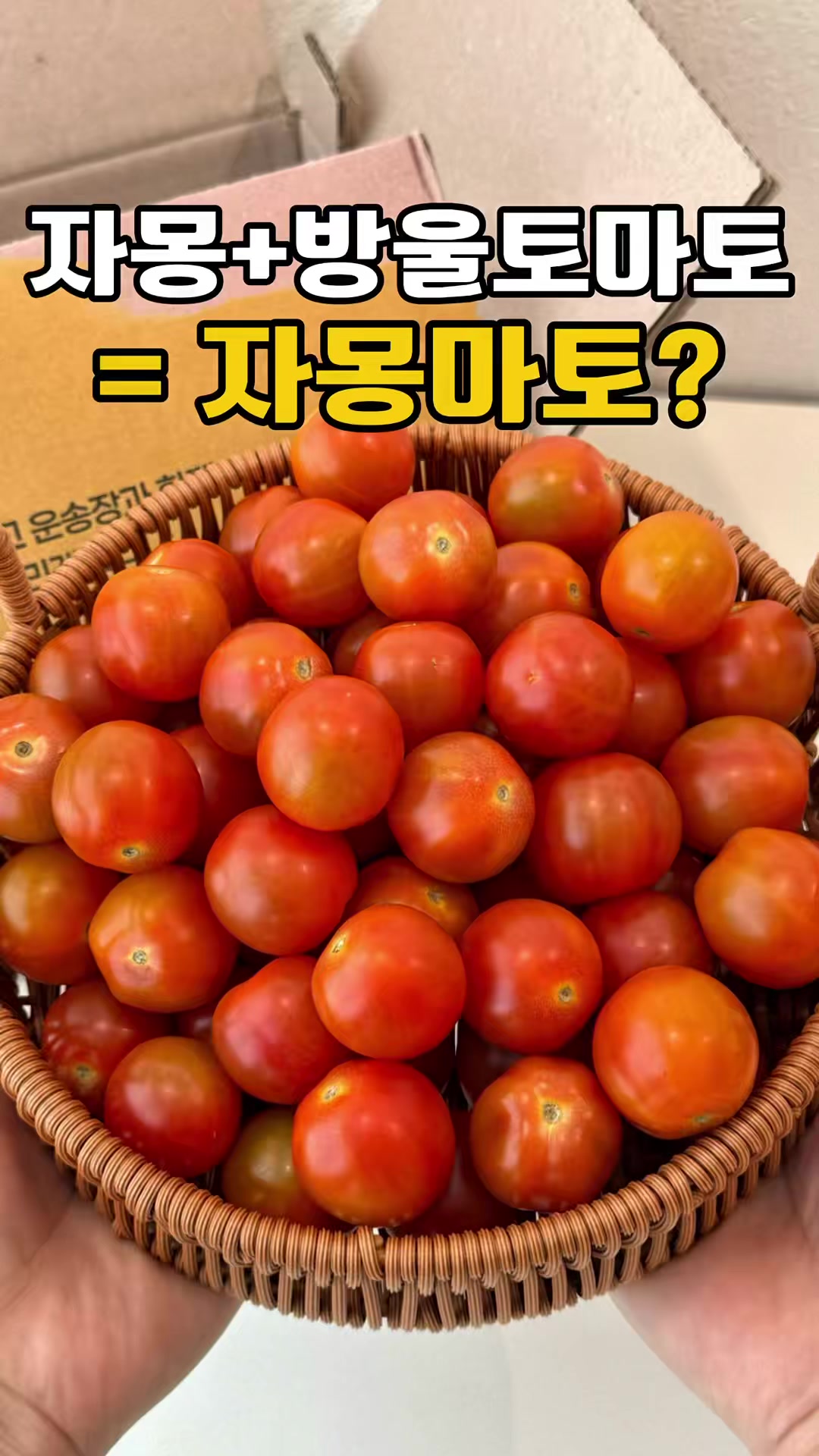 @싱싱햇 - 365일 싱싱한 햇 제철 먹거리