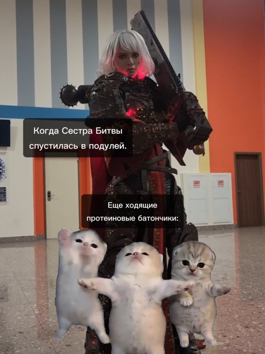 @gurami_san