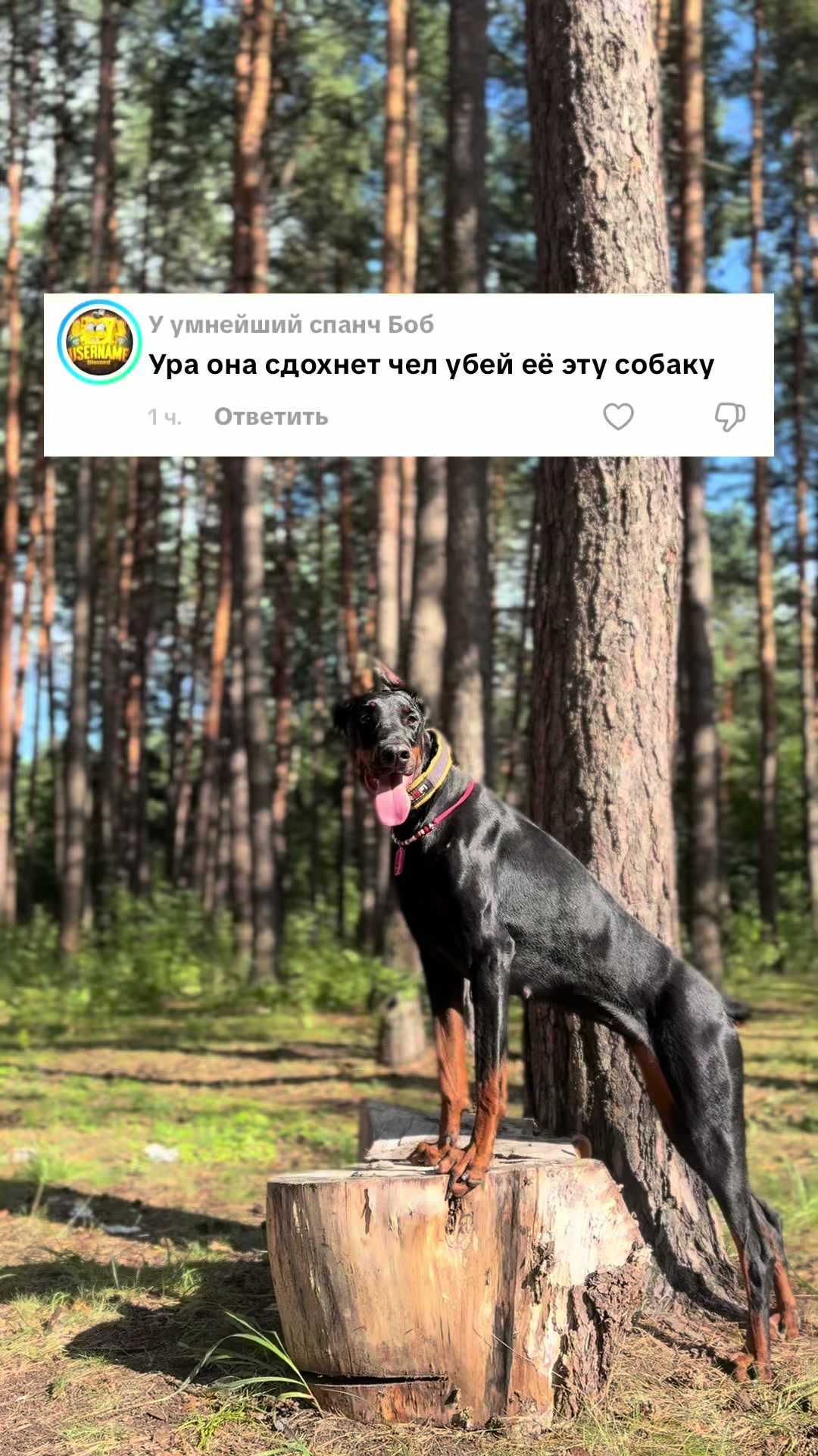 @‼️тг: grandorf‼️
