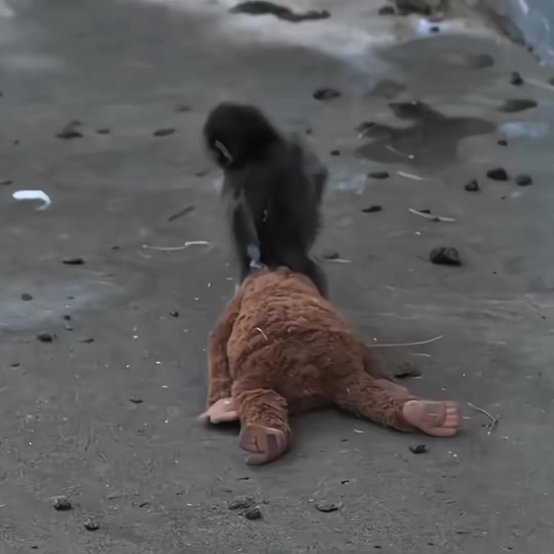 @60FP&Scaron;