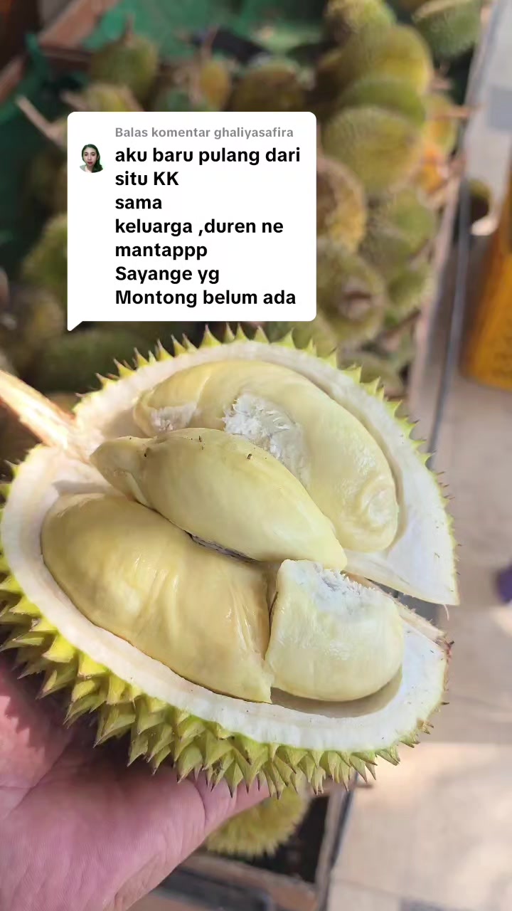 @Kenzhi Durian Tuban