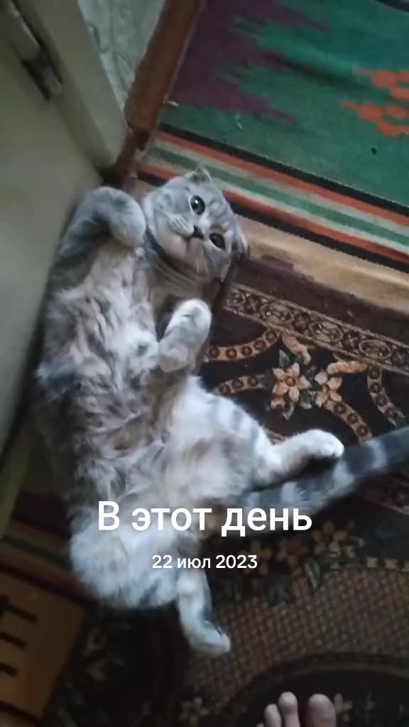 @sereqa812 Серега