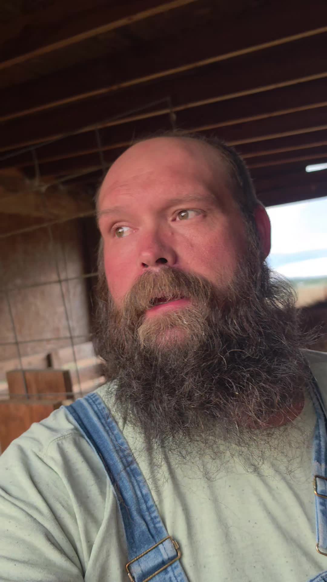 @thebeardedfamily1
