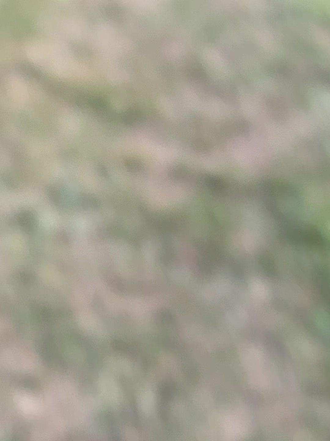 @Alberta Osorio