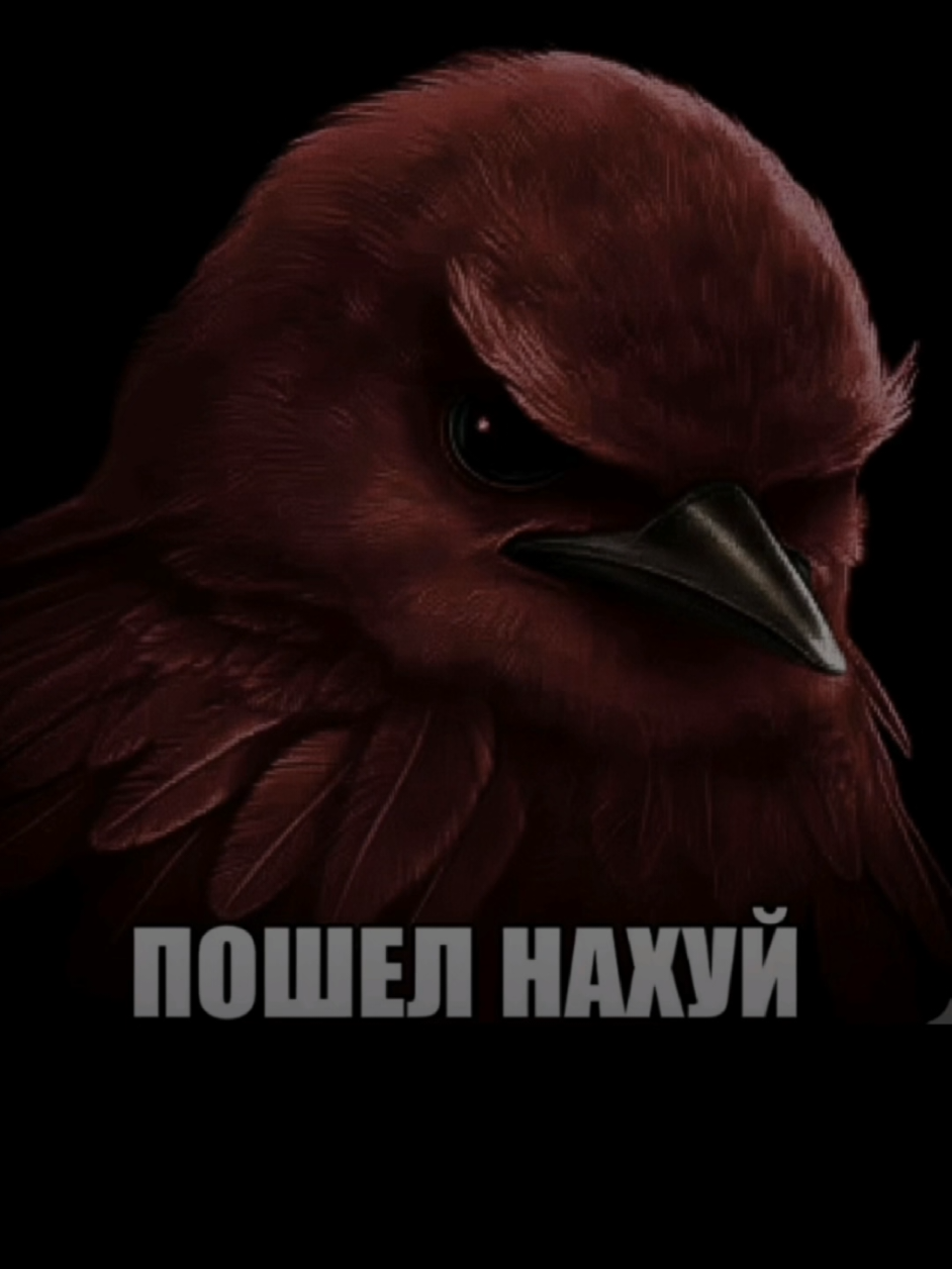 @девочка продам гараж <🔥>