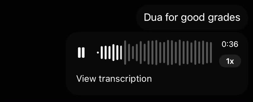 @dxb.mush