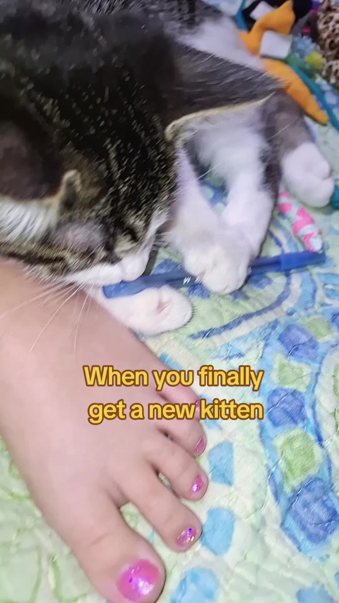 @Nicole