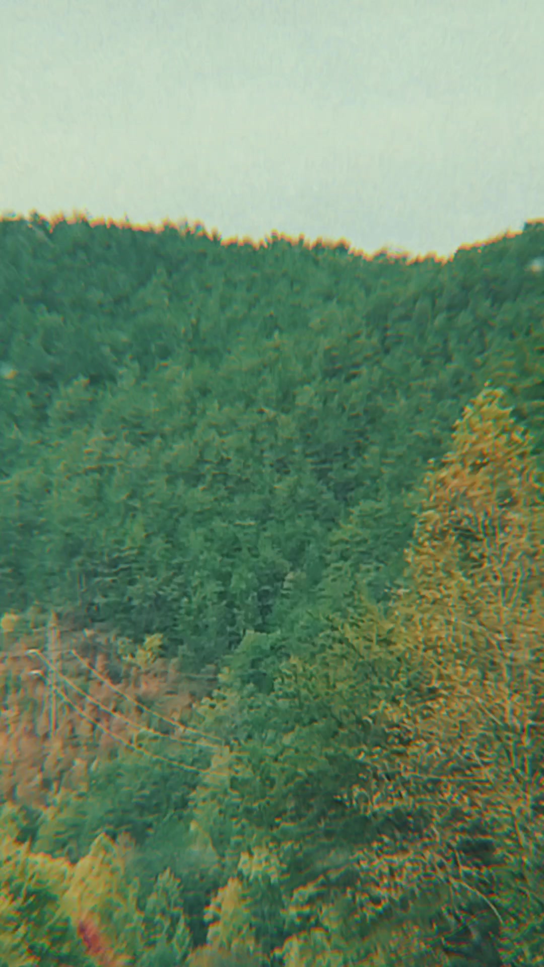 @WormintheWorld