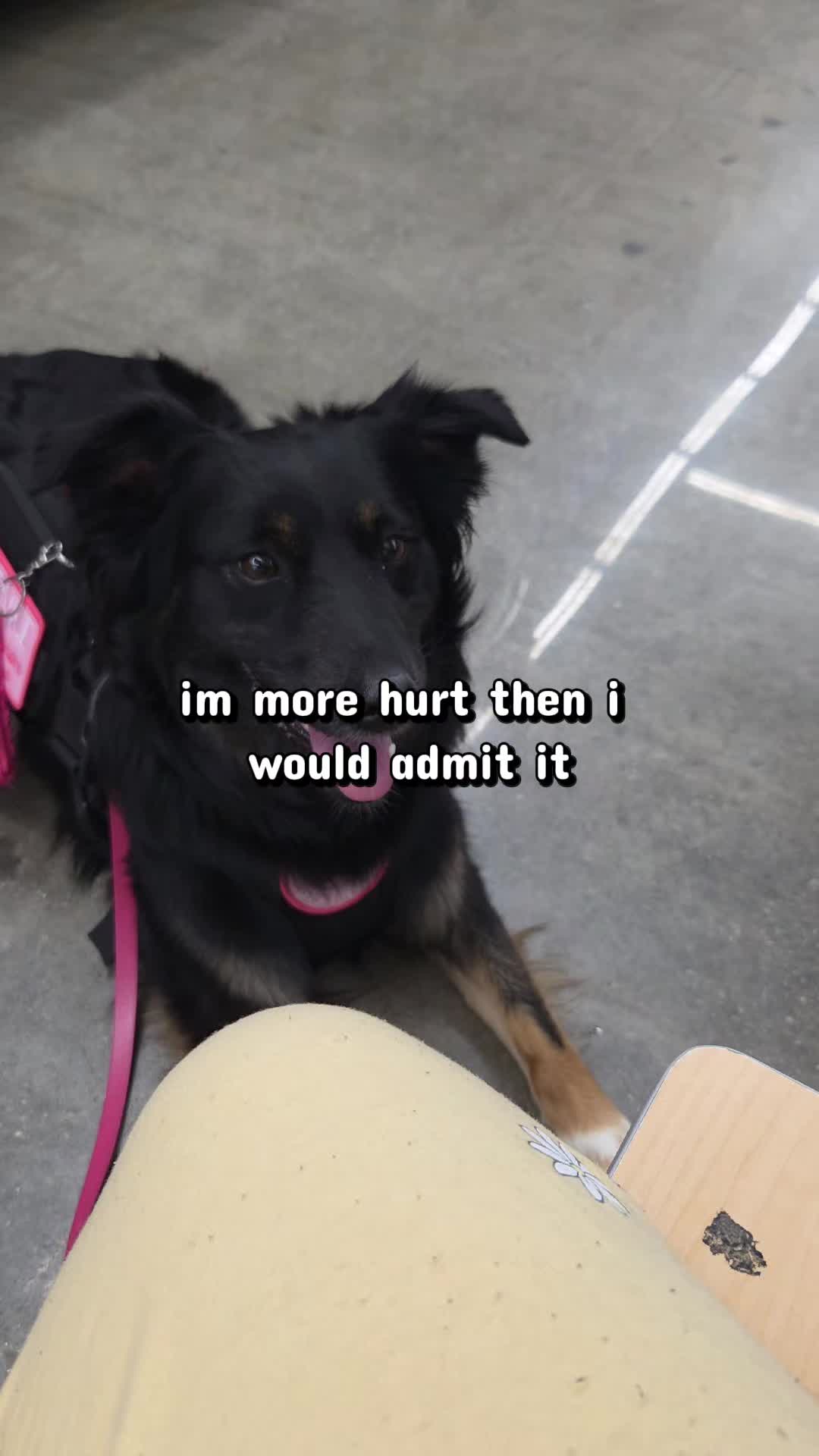@Nala the Service aussie