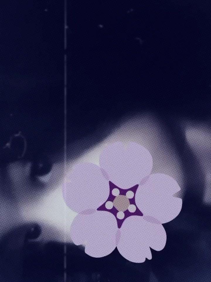 @꧁ᰔᩚ𝔸𝕟𝕚𝕜𝕒ᰔᩚ꧂