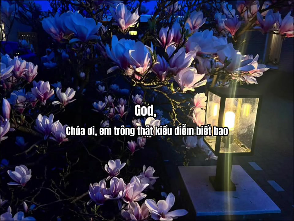 @Ly Mei