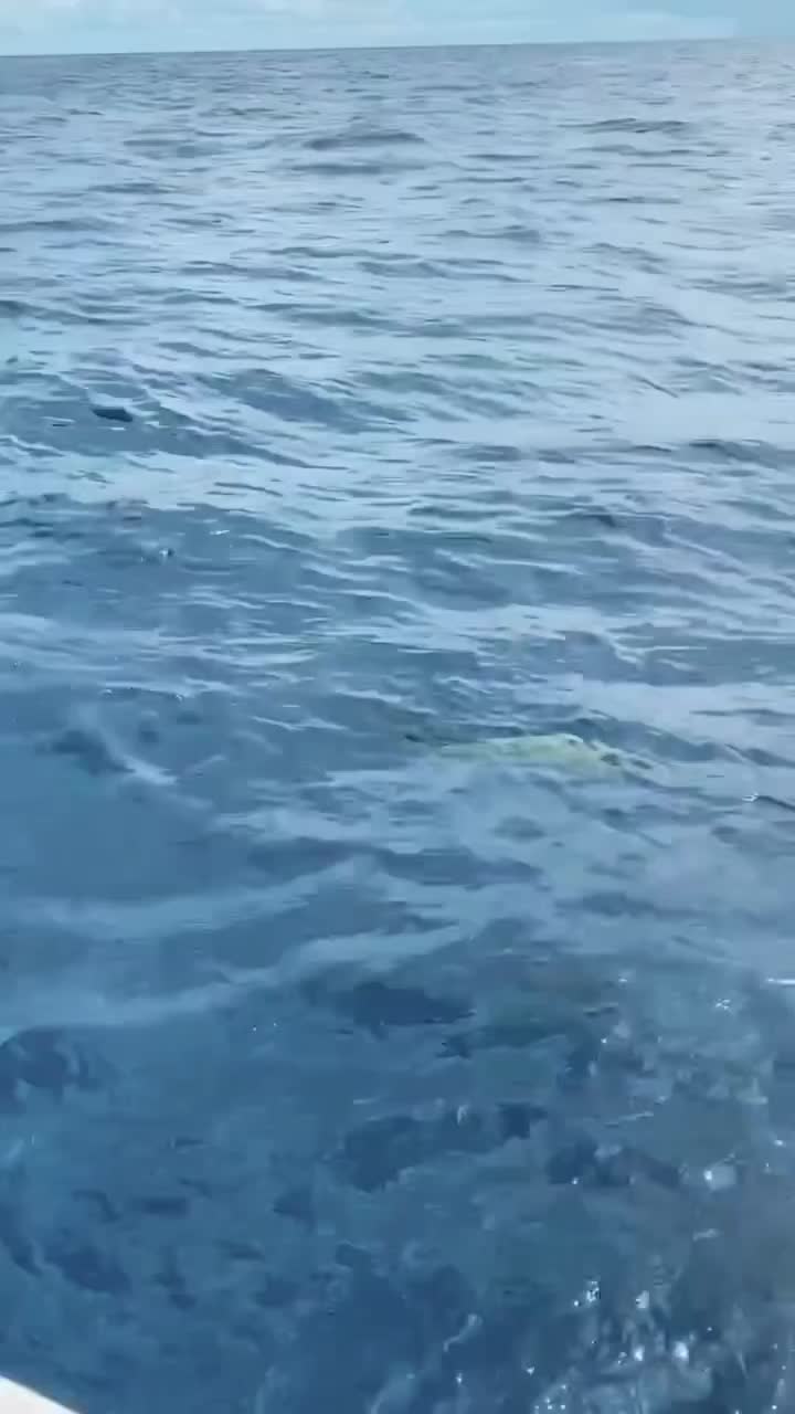 @hotgirlsfishing