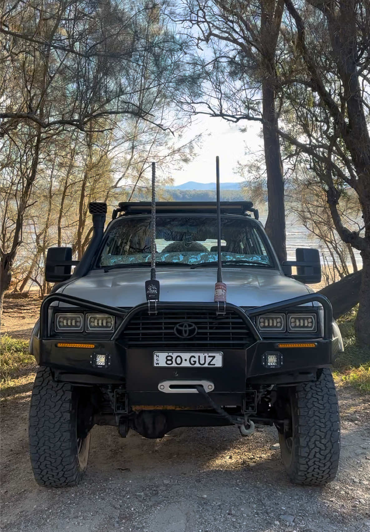 @80GUZ
