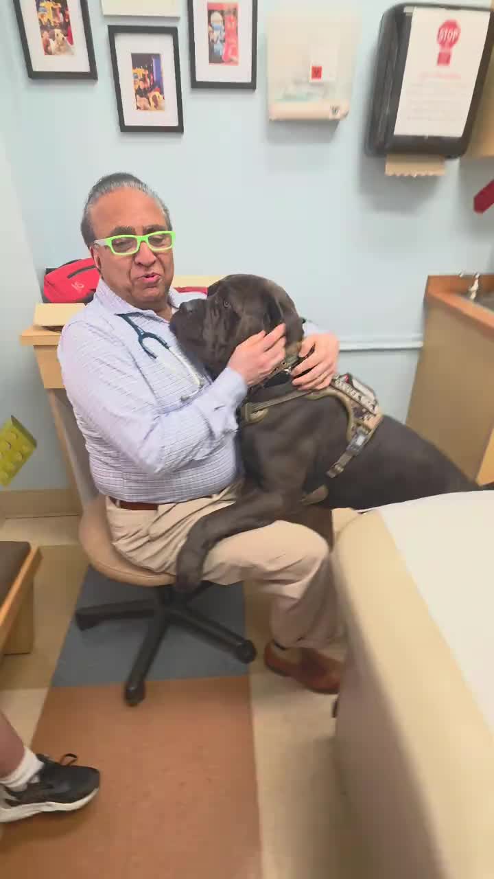 @Charlee The Cane Corso