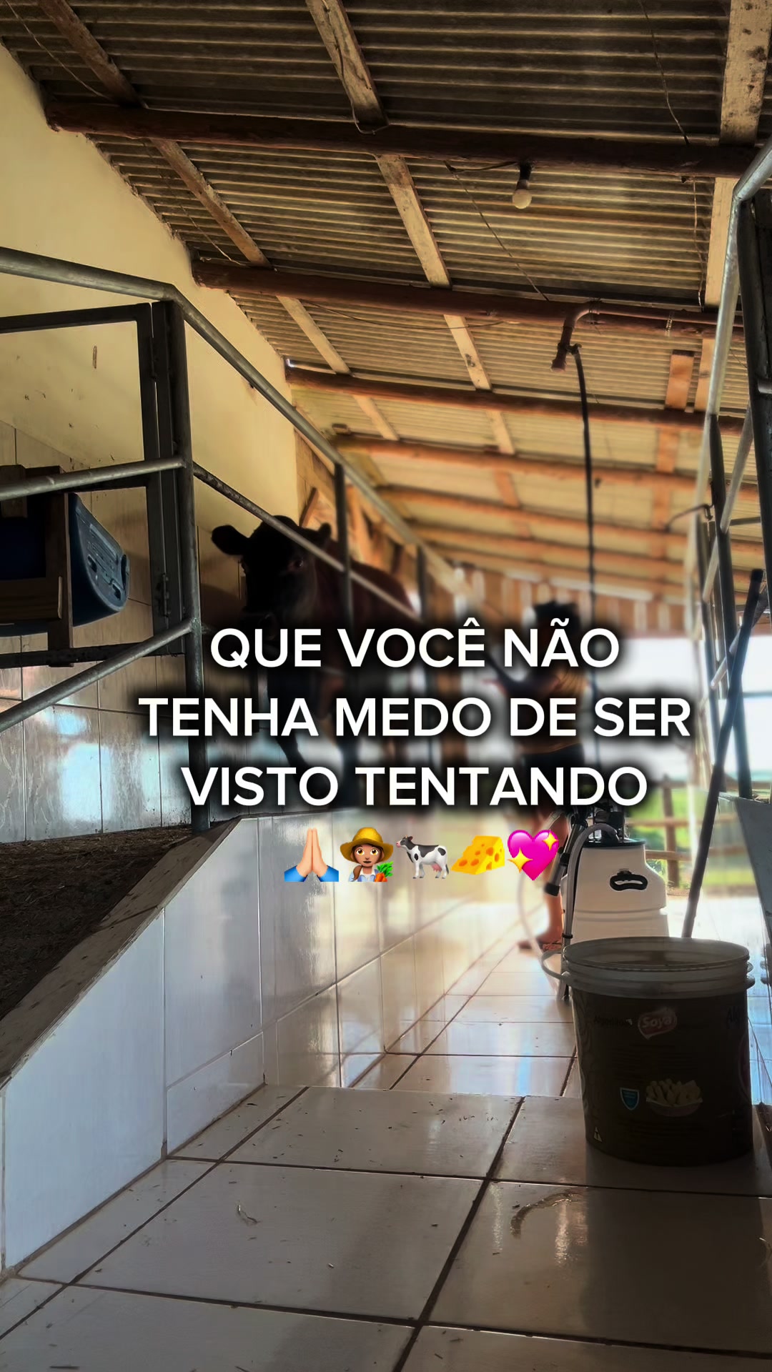 @Val&eacute;ria | Rotina | Queijos🧀🐄
