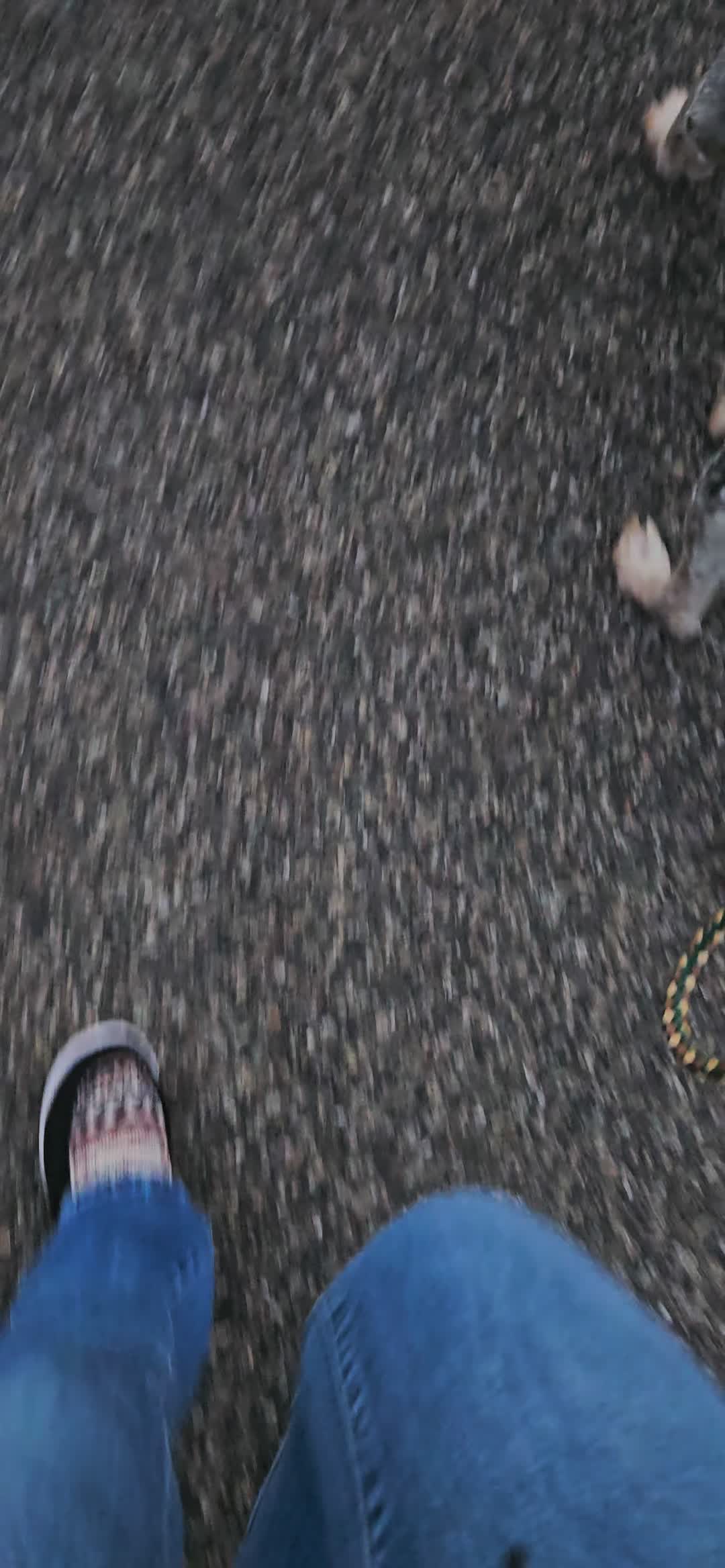@𝓚.𝓒. 𝓗𝓪𝓽𝓬𝓱 💞