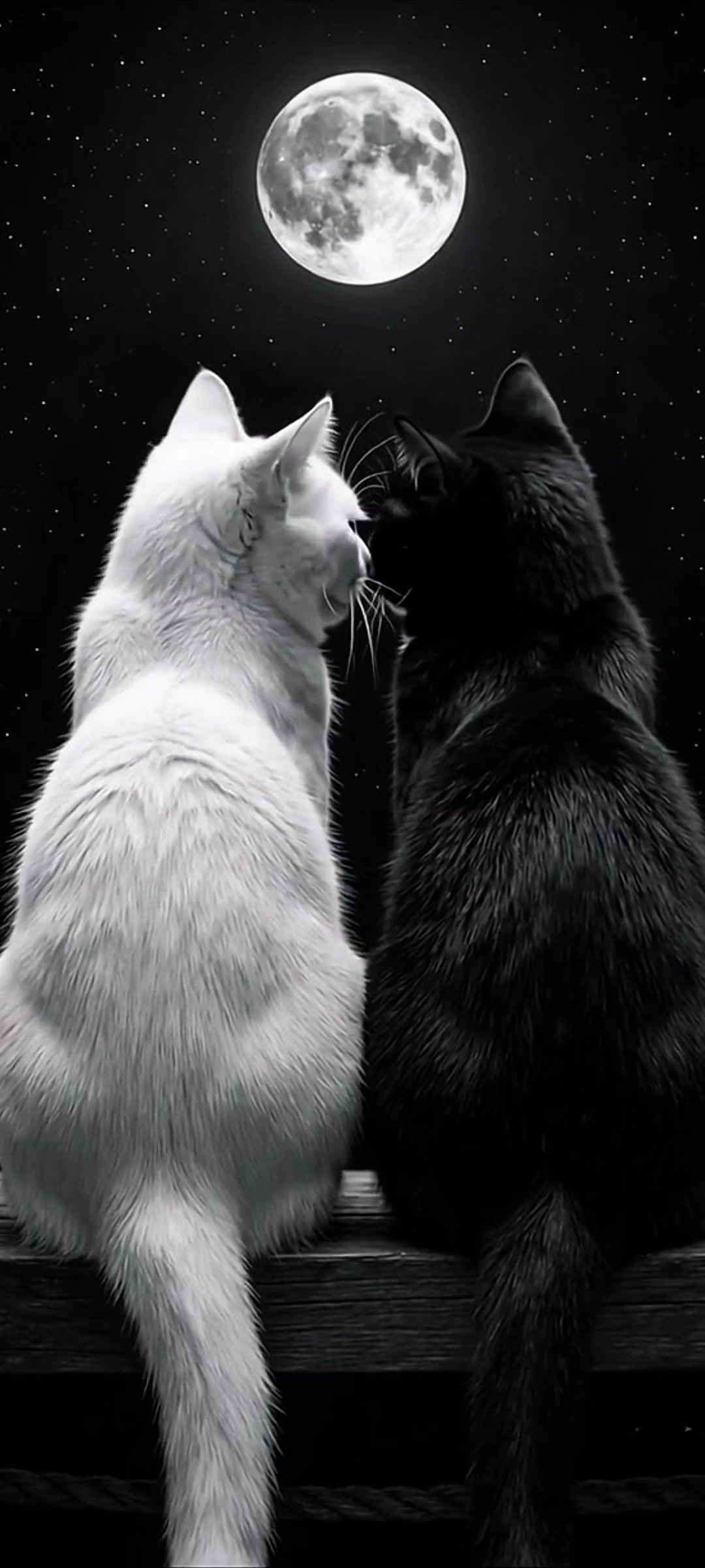 @Live wallpaper