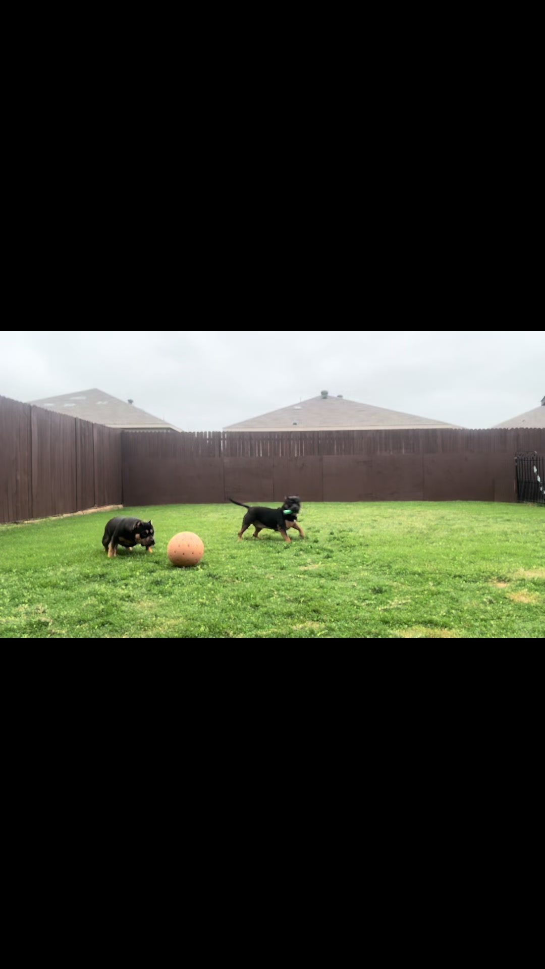 @Scooterzbullyz LLC