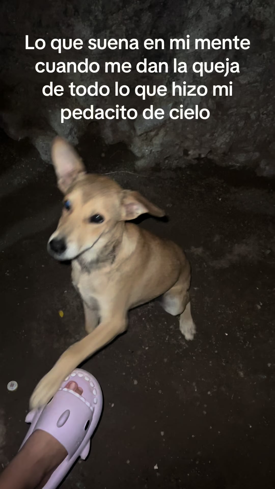 @M_villa💞