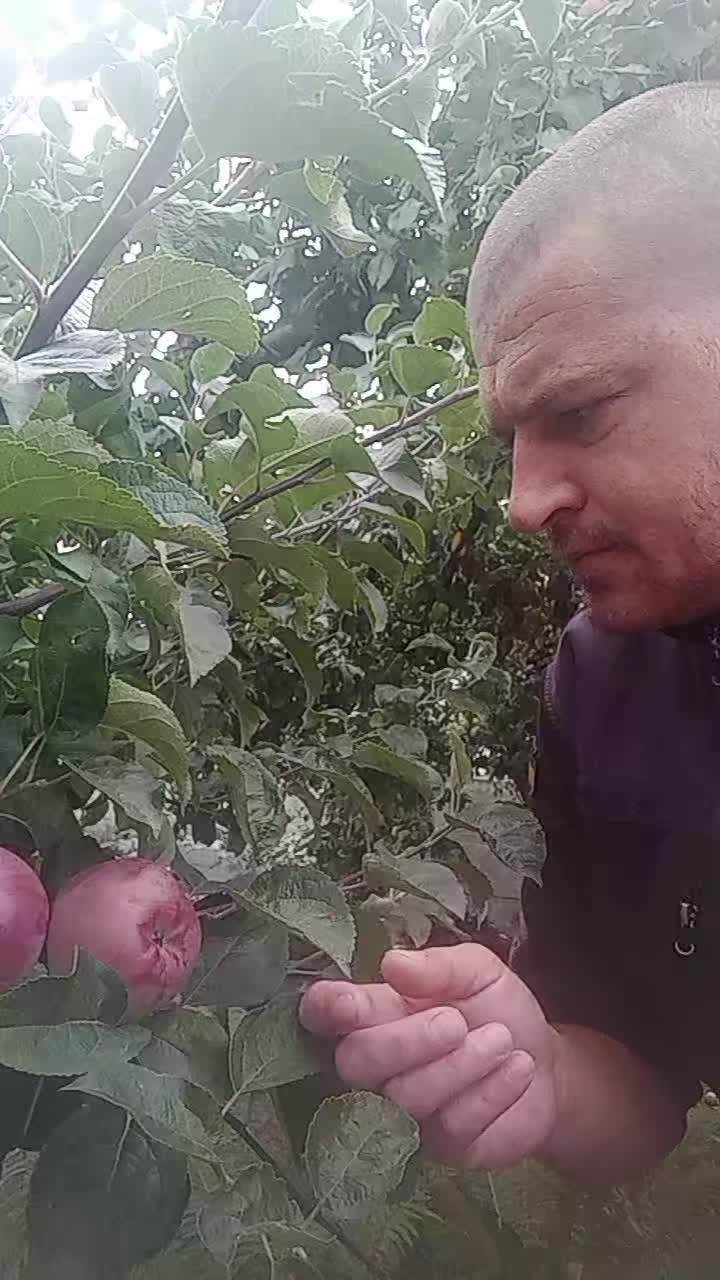 @Павло Євгеньєв 86