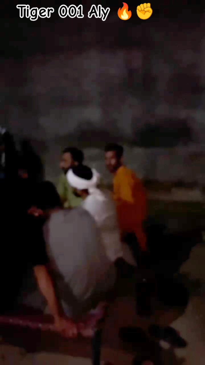 @چوہدری دانش پسوال ❤️🐯