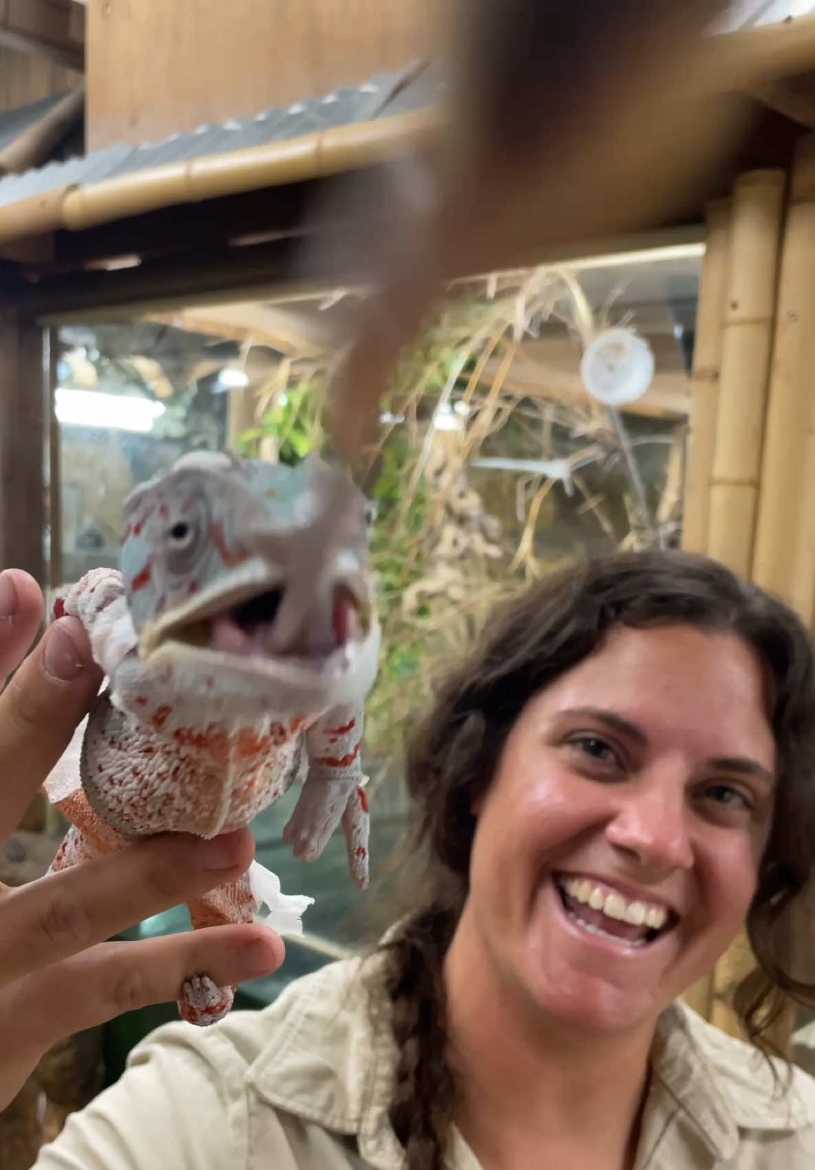 @The Reptile Zoo